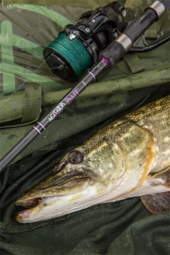 Wychwood Agitator Bait Rod 12ft 3.25lb - Pike rods -Fishing Rods Online Shop criut2dn637133844115855266