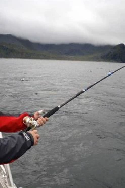 Century Excalibur Braid Boat Rods - -Fishing Rods Online Shop ggjvdrta635784300853536964