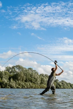 Avid Carp Amplify Rods - Carp rods