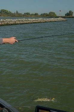 Fox Rage Terminator Power Shad Rod - Baitcasting & jerkbait rods -Fishing Rods Online Shop ifcnbjut637431049587191978