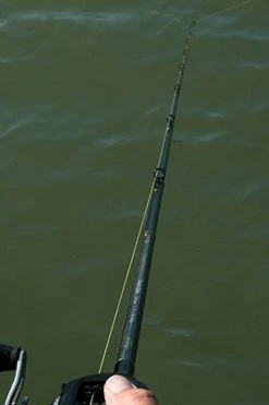 Fox Rage Terminator Power Shad Rod - Baitcasting & jerkbait rods -Fishing Rods Online Shop ktluz4j2637431049587191978