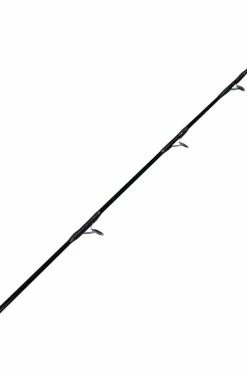 Tronix Pro Competition Match GT2 - Beachcasting rods -Fishing Rods Online Shop mhc3rr1z637456979226850896