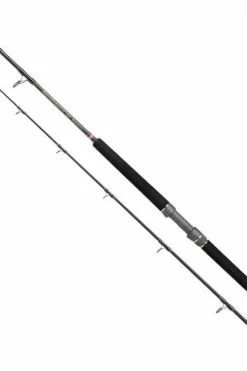 Penn Regiment III Boat Rods -