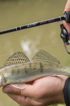 Wychwood Agitator Dropshot Rod - Dropshot rods 10 Wychwood Agitator Dropshot Rod - Dropshot rods -Fishing Rods Online Shop tnfrsjy1637133835606942795