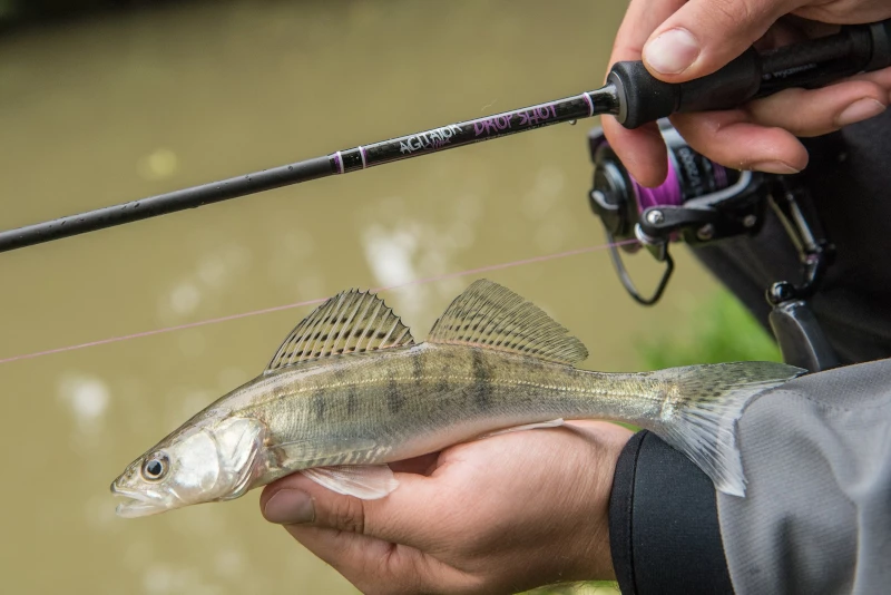 Wychwood Agitator Dropshot Rod - Dropshot rods 4 Wychwood Agitator Dropshot Rod - Dropshot rods - Image 4