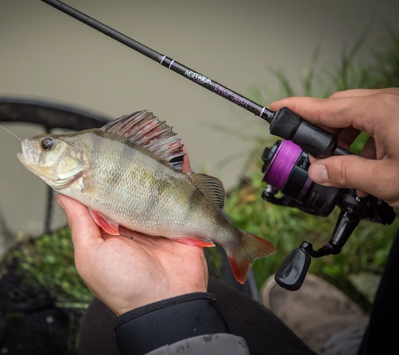 Wychwood Agitator Dropshot Rod - Dropshot rods 2 Wychwood Agitator Dropshot Rod - Dropshot rods - Image 2