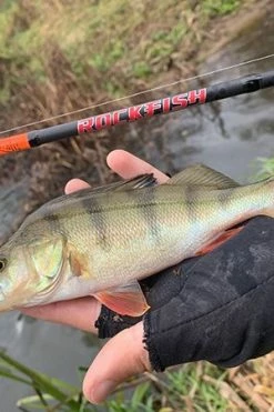 HTO Rockfish Rods - Dropshot rods -Fishing Rods Online Shop vommyx5q636827163658584081