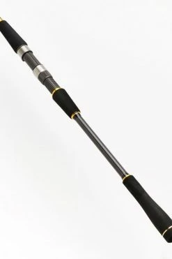 Daiwa BG Spinning Rods - -Fishing Rods Online Shop xodapd01636459267835391975
