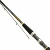 Daiwa BG Spinning Rods -